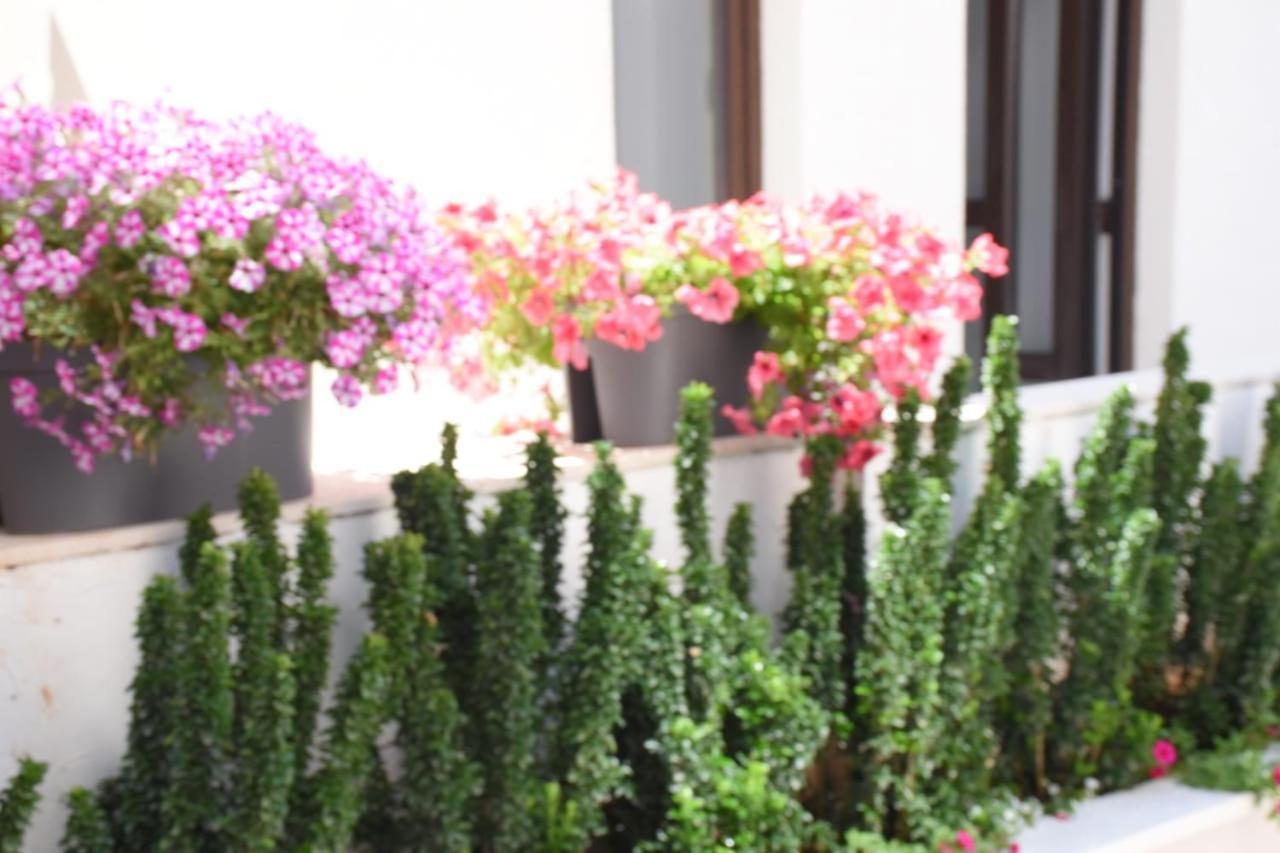 Apartments Petar Budva Exterior foto